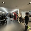 아나토미 스트랭스 이미지