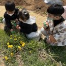 폴짝폴짝 이야기 숲 이미지