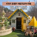 휴양림길 | 천안 풍세면 "피노카페" 후기 및 총정리 애견동반 가능,아이랑 가기 좋은 카페
