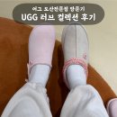 크록스롯데청량리 | 전문점 방문기 | UGG 러브 컬렉션 착용 비교 후 스티치 플랫폼 슬리퍼(타즈 러브 ’26) 내돈내산 구매 후기