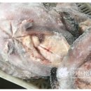 2025년 상반기 냉동 아귀 수입동향 이미지