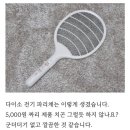 다이소 전기파리채 살말?? 이미지