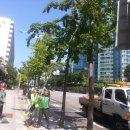 기동반-67 이미지