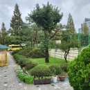송강초등학교(병설) 네이버블로그
