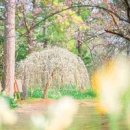 한림공원 이미지