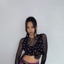 마린(Marine) 이미지