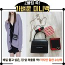 요녀석 | Z플립 쏙 들어가는 질바이질스튜어트 미니 크로스백 솔직후기