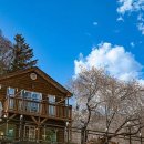 초리골펜션 | 경기도 양주시 초리골 독채펜션, 후기, 위치, 영업시간