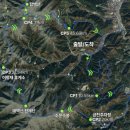 🏃‍♂️🏔️ 태백의 하늘을 달리다: 다이나핏 태백 트레일러닝 2024 참가 후기