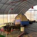 아침농원 이미지