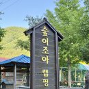 문경캠핑장 아이들과 가기 좋은 숲이조아 오토캠핑장