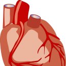 24시약국 이미지