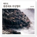 대보자원 | 제주 주상절리, 중문대포해안 용암 육각기둥 신비한 서귀포 여행명소