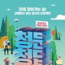 청년, Forest 이미지