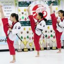 국가대표 울림태권도 이미지