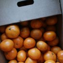 상금농장 이미지