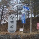 태건조경
