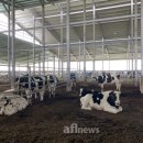 수연목장 이미지