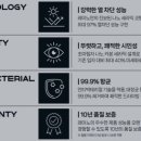 유라이즈