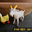 데이데이플라워