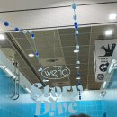 6월의 빛과 소금