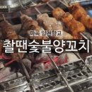 숯집 양꼬치 | 마곡동 촬땐숯불양꼬치 :: 숯 향에 이끌려 양꼬치 한 점!