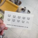 폴인캣츠 이미지