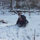 장기 산골농장 이미지