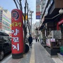 [군포] 당정동 양꼬치 맛집 숙미고양