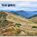 제136차 2026년11월15일 화왕산 억새산행예약방 이미지