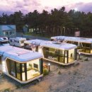 연곡해변 솔향기캠핑장 이미지