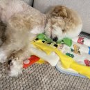 (주)메트워크 이미지