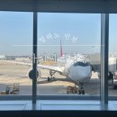 582 | [아시아나항공] OZ582 밀라노 말펜사 인천 이코노미 탑승 후기