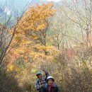 김철식 Daum카페
