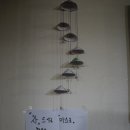 김삿갓다방