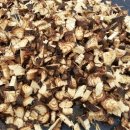 첫눈에평창 이미지