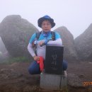 보성야생화 이미지