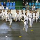 태권스토리 이미지