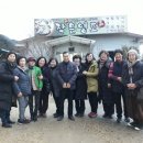 작은영토 이미지