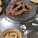 불타는돈갈매기 이미지