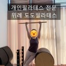씨유 위례36단지점 | 남위례역 도도필라테스 개인 필라테스 솔직 후기