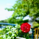 우림세탁소 이미지