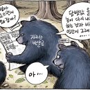7월27일 이미지