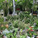 완산-127 이미지