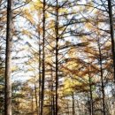 토속마을민박 이미지