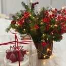 태사랑카페에 자발적으로 회원이된 이유 이미지