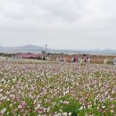 가파초등학교 이미지