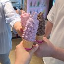 (주)에이스텍인코리아 | 하동여행추천 우천취소로 재도전한 하동 짚라인 코리아 짚와이어 예약 후기