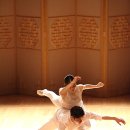 수요춤전 이미지