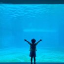 돌고래약품 이미지